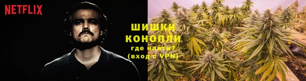 гидропоника Богородицк