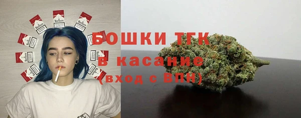 гидропоника Богородицк