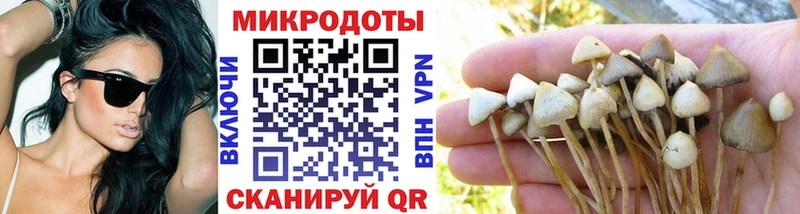 купить закладку  Ворсма  Галлюциногенные грибы мухоморы 
